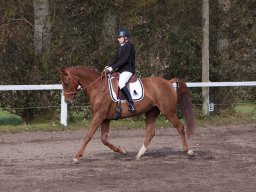 IMG_7852_web